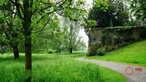 Servicii de înființare și actualizare a Registrului Spațiilor Verzi – soluții complete pentru UAT-uri