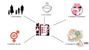 Strategia de dezvoltare a serviciilor sociale – de la analiză la implementare